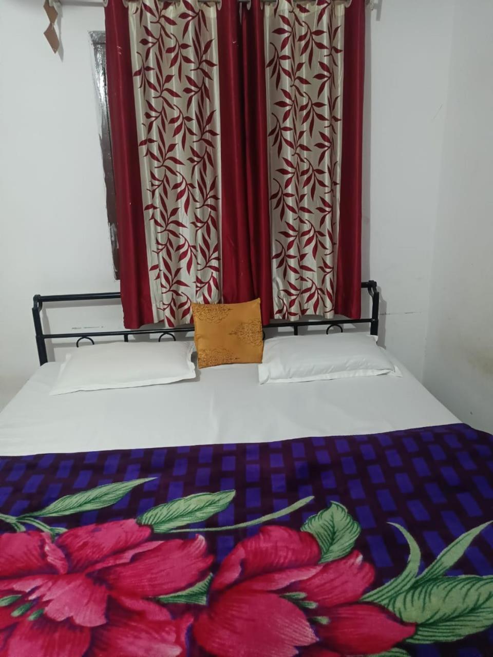 Bagol Palace Udaipur Extérieur photo