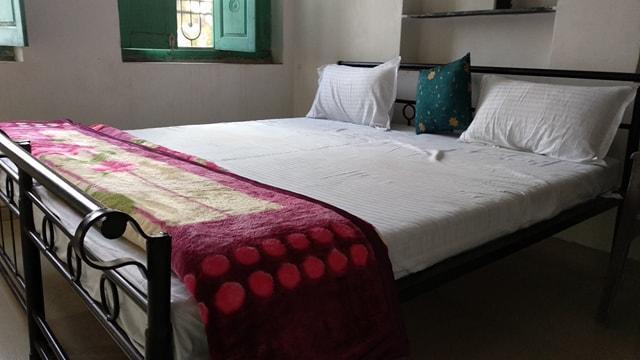 Bagol Palace Udaipur Extérieur photo